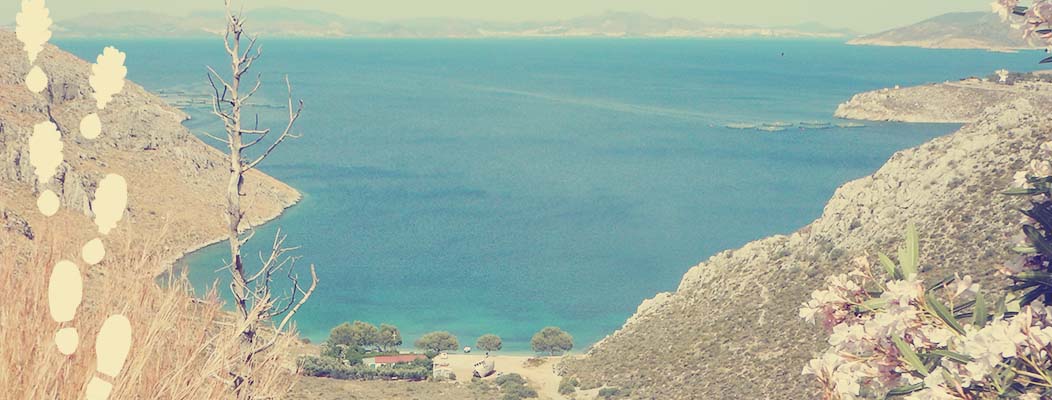 Blog - Kalymnos-sela