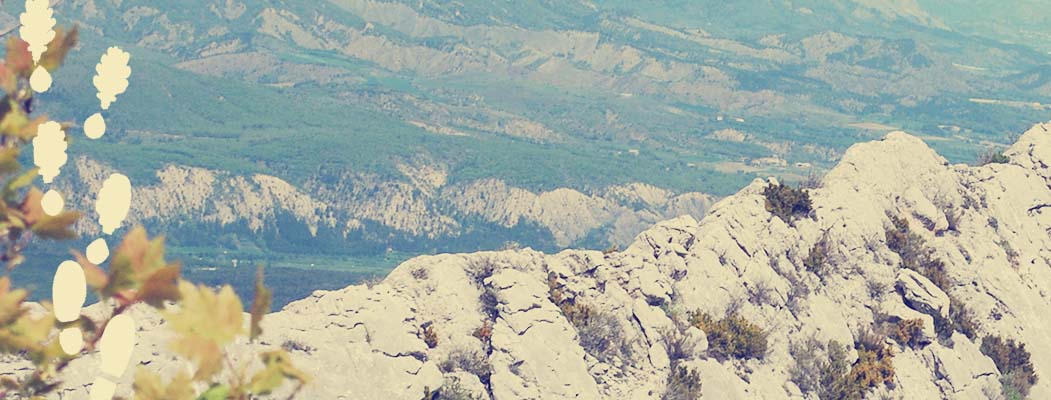 Blog - Orpierre-sela