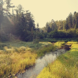 Parks a t Globe - Chippewa