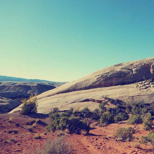 Parks a t Globe - Dinosaur