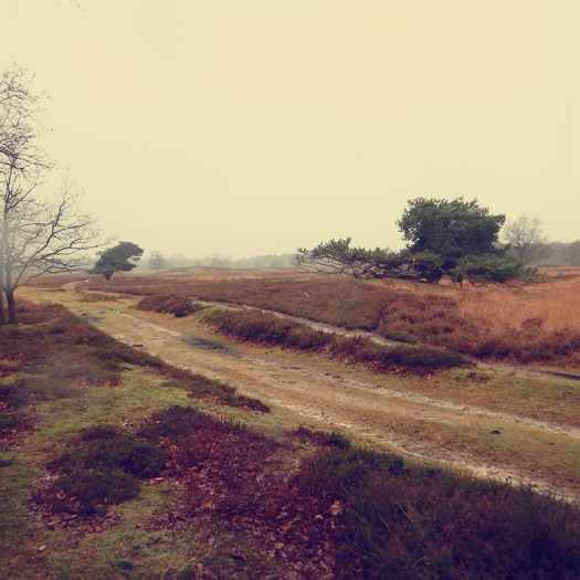 Parks a t Globe - Drentsche Aa