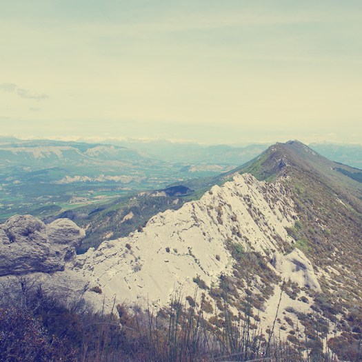 Parks a t Globe - Parc Baronnies