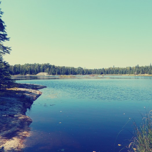 Parks a t Globe - Voyageurs