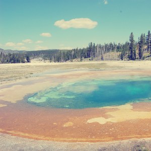 Parks a t Globe - Yellowstone
