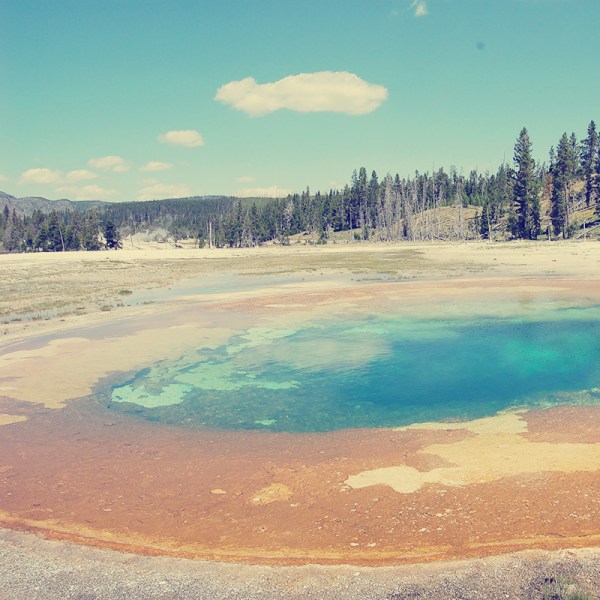 Parks a t Globe - Yellowstone