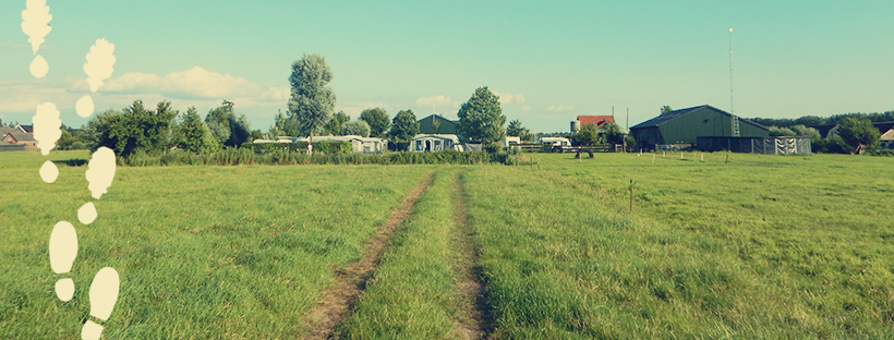 Tractor trail through a grassy field leading towards a campground