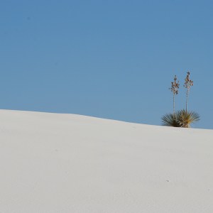 White sands - view
