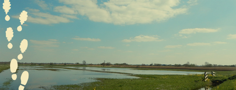 wide view of a dutch landscape with clouds in the sky and water on the field