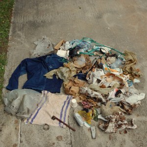 Litter - collection